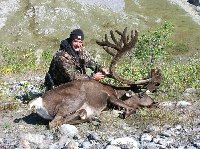 2007 Kevin Schrader Brooks Range Caribou 00032