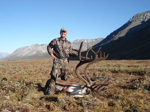 Brady Lee Alaska Brooks Range Barren Ground Caribou