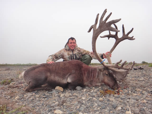 Daniel Lee - 2014 Alaska Caribou