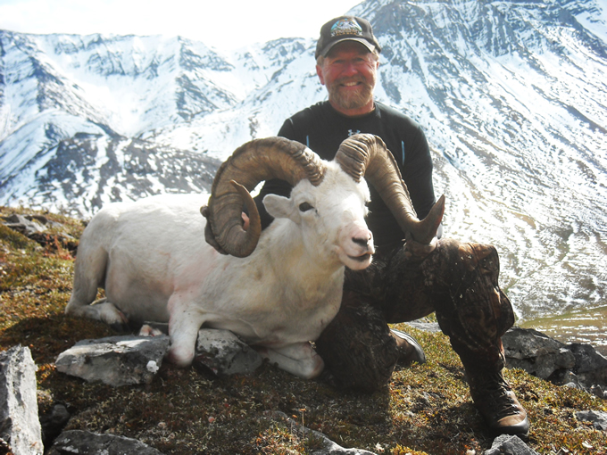 Jerry Russell Brooks Range Dall Sheep