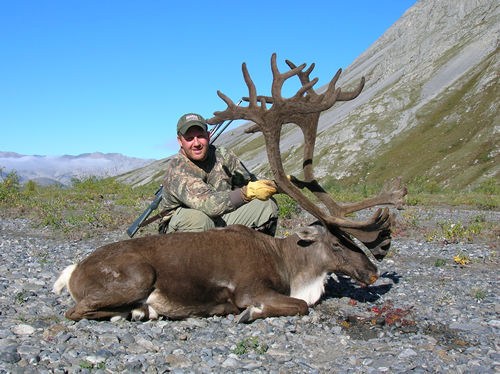 Mike Wasik Alaska Brooks Range Barren Ground Caribou