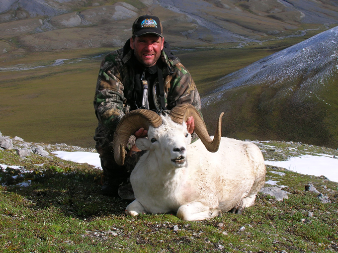 Olaf Christpherson Brooks Range Dall Sheep