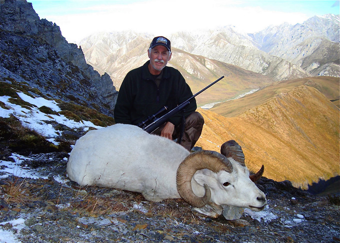 Peter Fullerton Brooks Range Dall Sheep