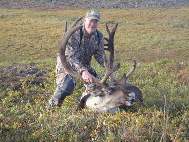Roger Avery's Alaska Caribou