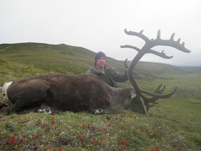 Steve Larson with first of two Trophy Brooks Range Caribou 2010