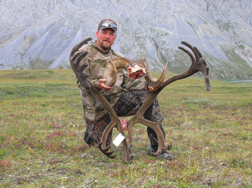 Troy Chandler Alaska Brooks Range Dall Sheep  Barren Ground Caribou_JPG
