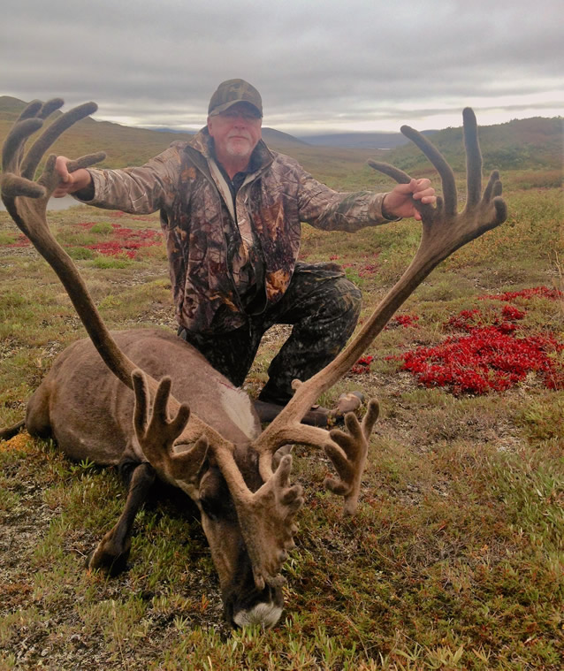 Marty Gyllander - Alaska Caribou Hunt 2016